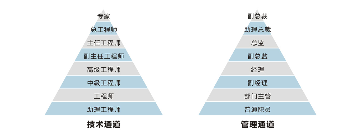 职位.jpg